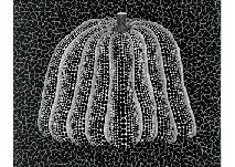 PUMPKIN (A.H.T) by Yayoi Kusama